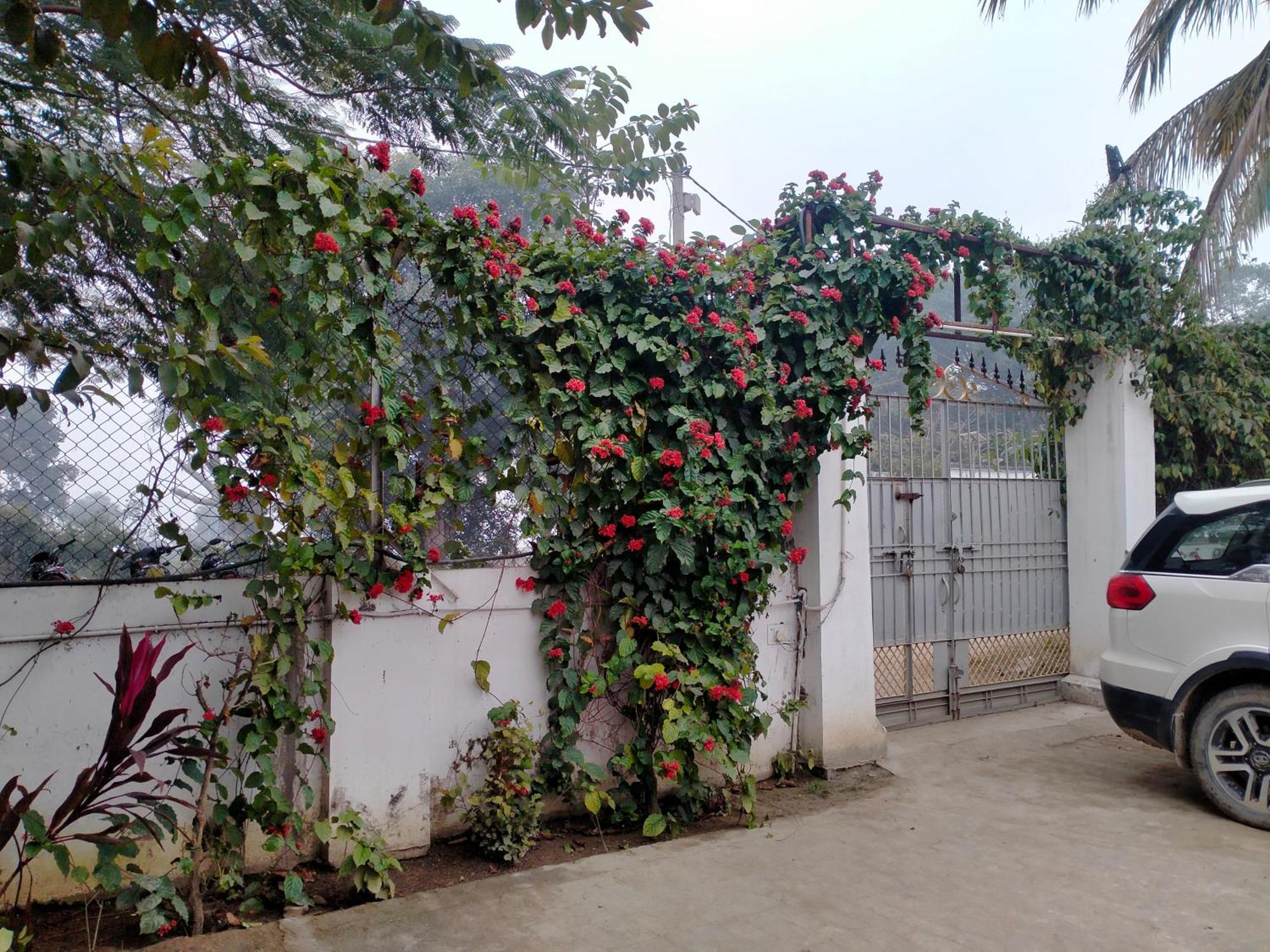 Vedic Villa Варанаси Екстериор снимка